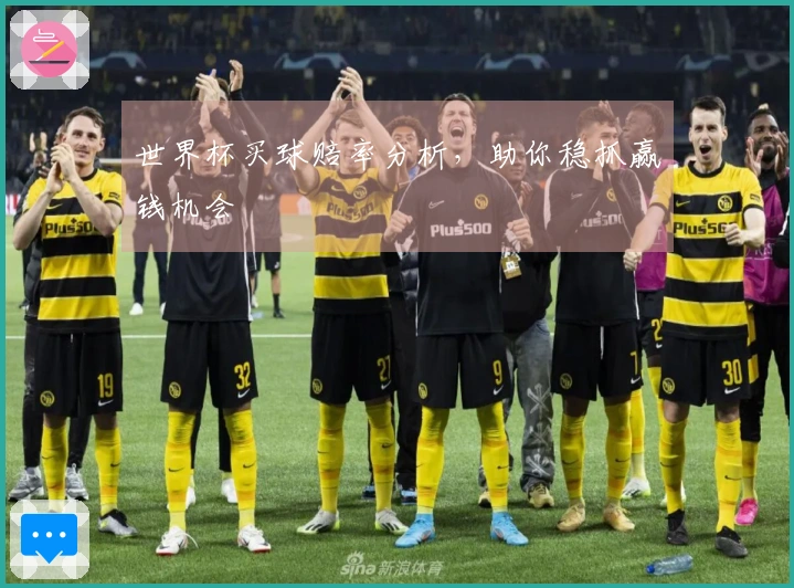 世界杯买球赔率分析，助你稳抓赢钱机会