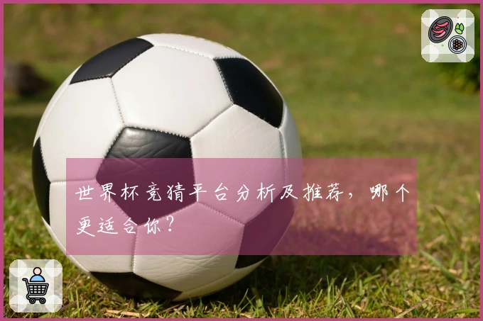 世界杯竞猜平台分析及推荐，哪个更适合你？