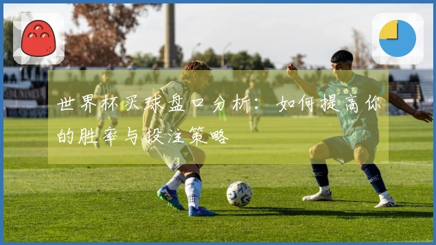 世界杯买球盘口分析：如何提高你的胜率与投注策略
