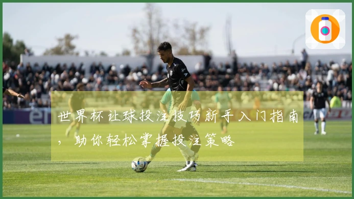 世界杯让球投注技巧新手入门指南,助你轻松掌握投注策略