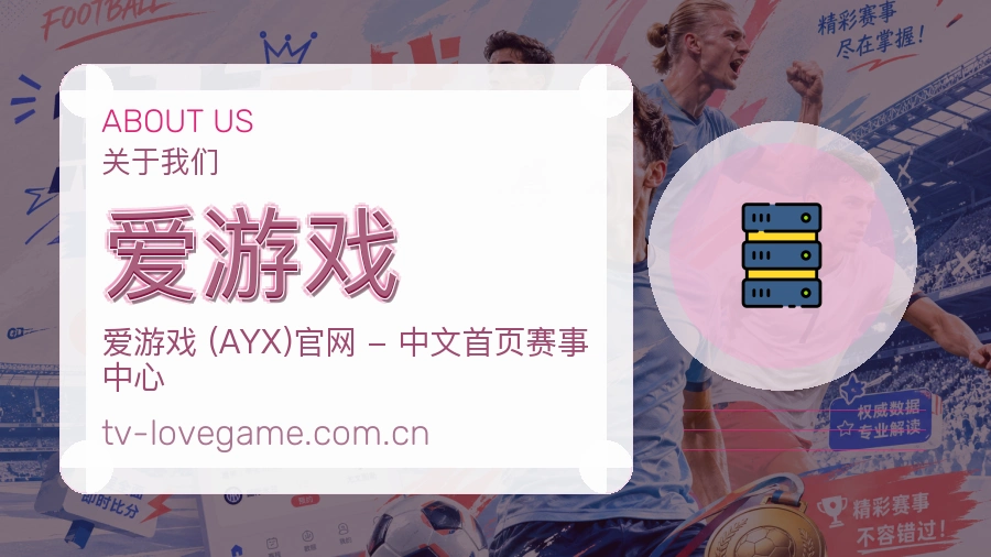 关于 爱游戏